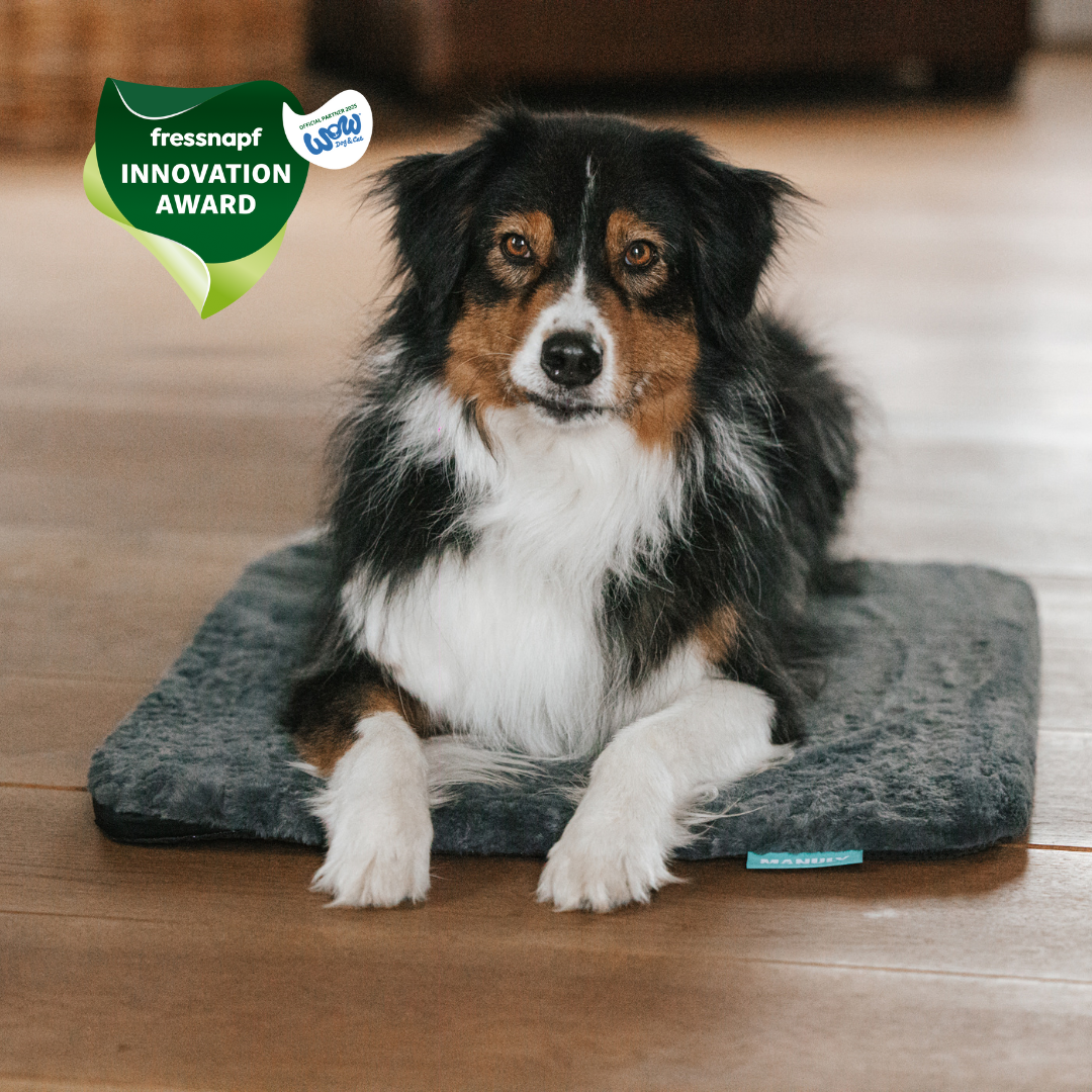 Manuly Set - Hunde Isomatte mit Bezug