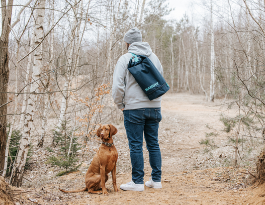 Urlaub mit Hund - Dein Ratgeber