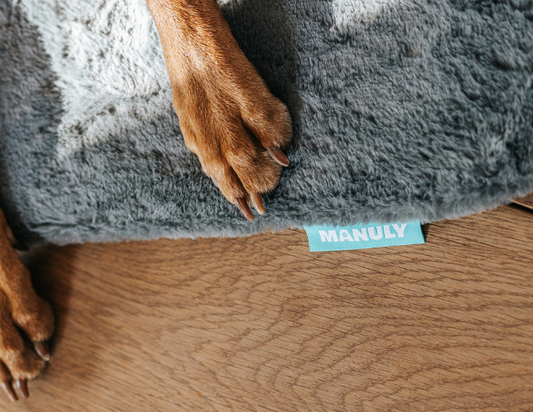 Beste Hundematte
