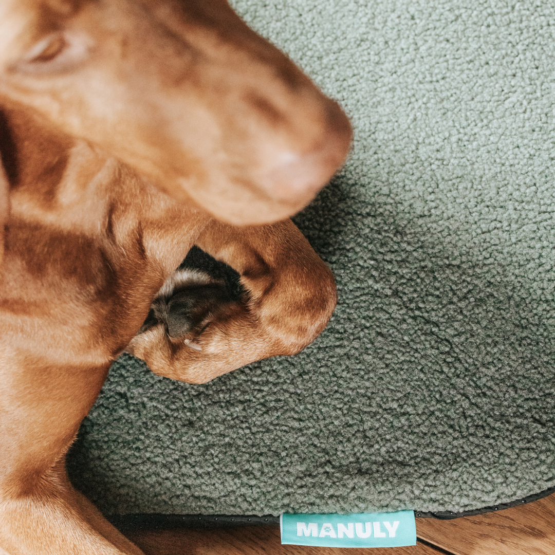 Manuly Cover - Bezug für Hunde Isomatte