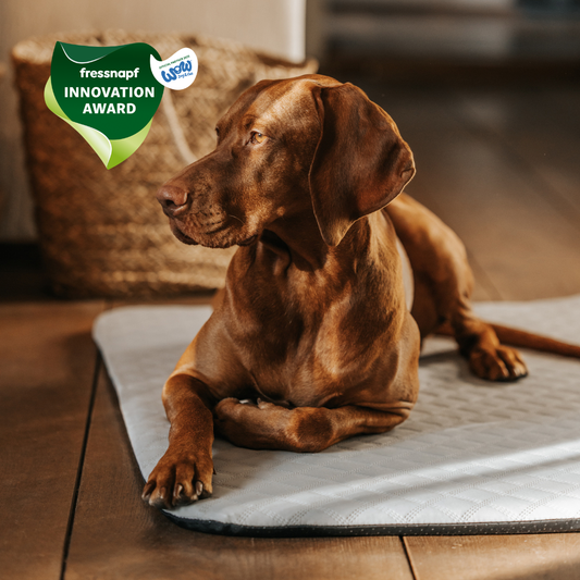 Manuly Set - Hunde Isomatte mit Bezug