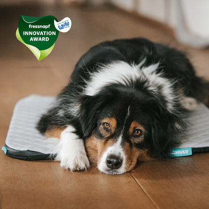 #size_M#color_Cooling Aqua