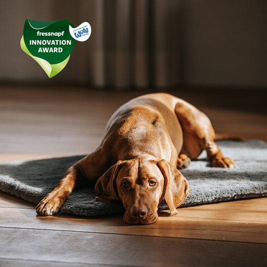 Manuly Set - Hunde Isomatte mit Bezug