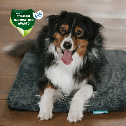 Manuly Set - Hunde Isomatte mit Bezug