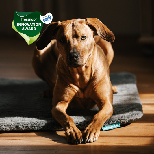 Manuly Set - Hunde Isomatte mit Bezug