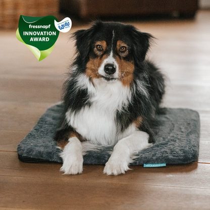 Manuly Set - Hunde Isomatte mit Bezug