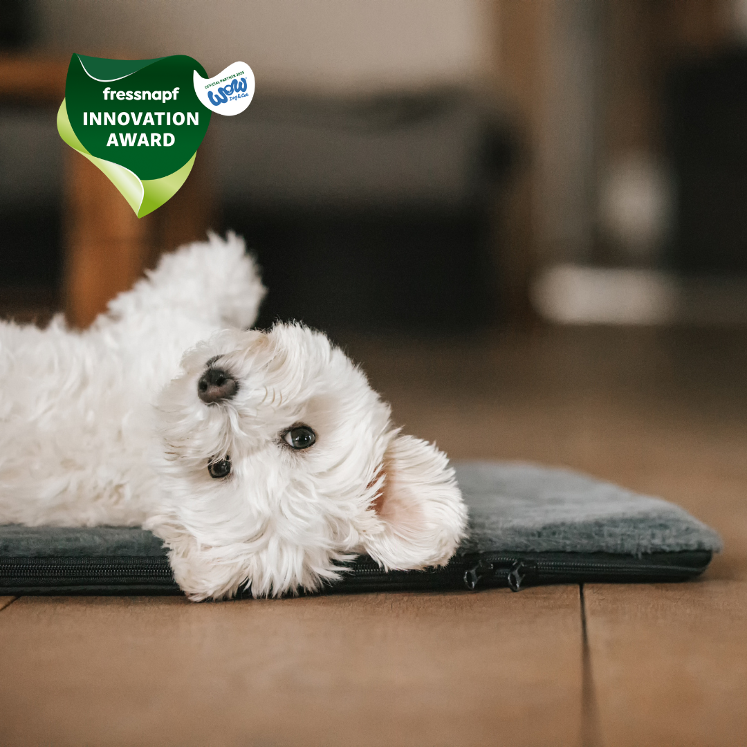 #size_S#color_Langhaar