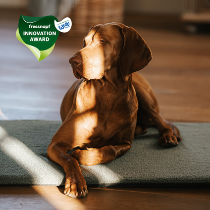 Manuly Set - Hunde Isomatte mit Bezug